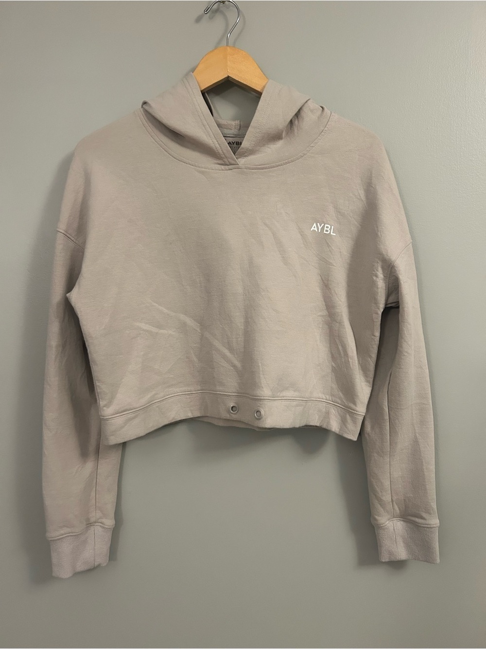 AYBL Women's Cropped Hoodie in Light Taupe Large